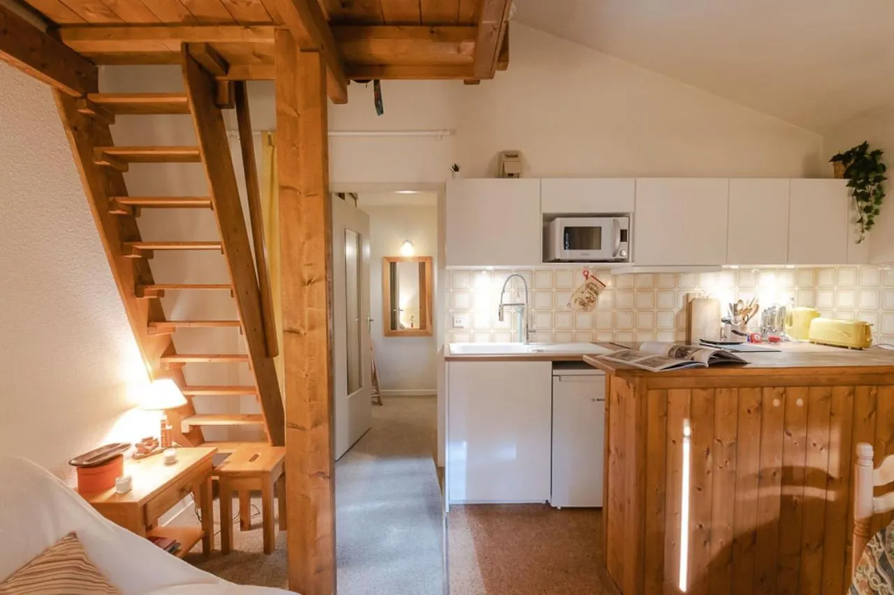 Charming Apartment In Praz De Chamonix